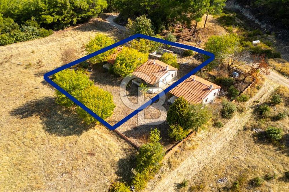 İzmir Bergama Zeytindağ'da Satılık 2 Adet Dağ Evi ve Tarla