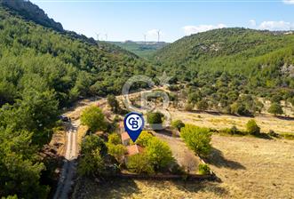 İzmir Bergama Zeytindağ'da Satılık 2 Adet Dağ Evi ve Tarla