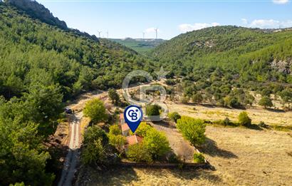 İzmir Bergama Zeytindağ'da Satılık 2 Adet Dağ Evi ve Tarla