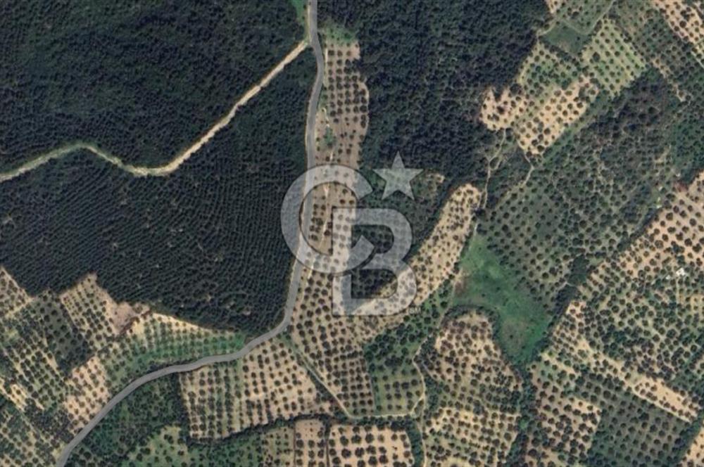 İZMİR ALİAĞA BOZKÖY MAHALLESİNDE SATILIK 10.509 M2 TARLA