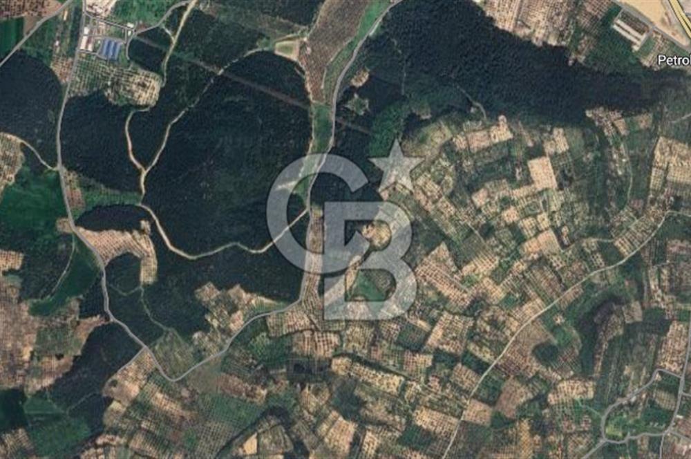 İZMİR ALİAĞA BOZKÖY MAHALLESİNDE SATILIK 10.509 M2 TARLA