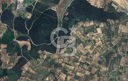 İZMİR ALİAĞA BOZKÖY MAHALLESİNDE SATILIK 10.509 M2 TARLA