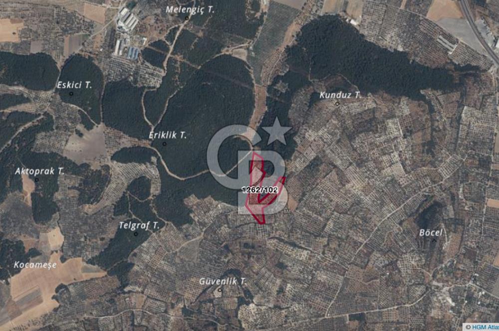 İZMİR ALİAĞA BOZKÖY MAHALLESİNDE SATILIK 10.509 M2 TARLA