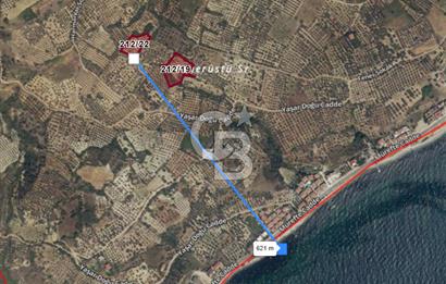 Tekirdağ Şarköy Hoşköy’de Deniz Manzaralı Önü Kapanmayacak Zeytinlik