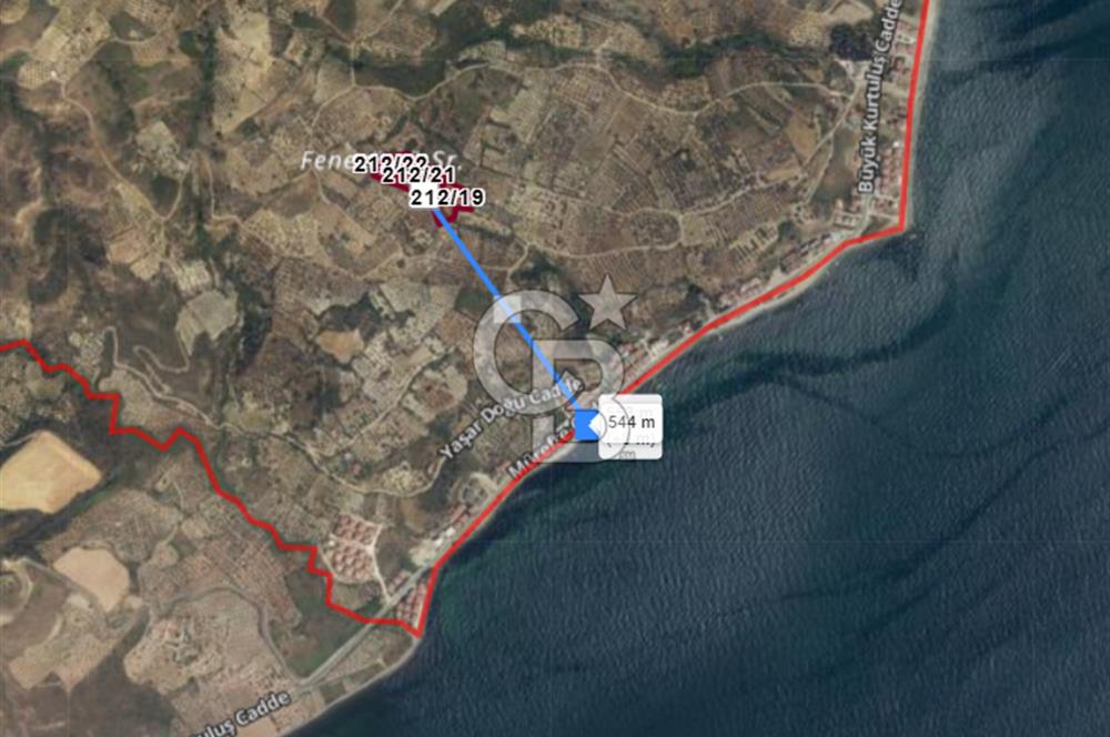 Tekirdağ Şarköy Hoşköy’de Deniz Manzaralı Önü Kapanmayacak Zeytinlik