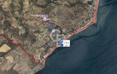 Tekirdağ Şarköy Hoşköy’de Deniz Manzaralı Önü Kapanmayacak Zeytinlik