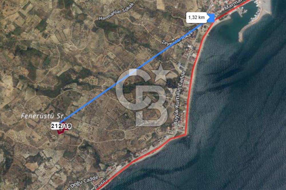 Tekirdağ Şarköy Hoşköy’de Deniz Manzaralı Önü Kapanmayacak Zeytinlik