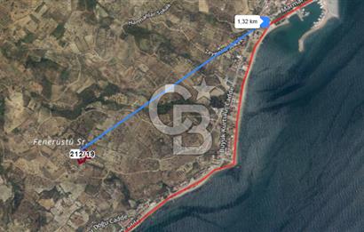 Tekirdağ Şarköy Hoşköy’de Deniz Manzaralı Önü Kapanmayacak Zeytinlik