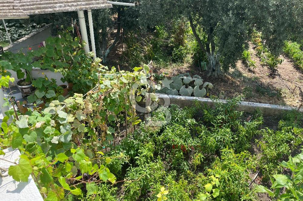 ÇANAKKALE BİGA GÜVEMALAN'DA SATILIK MÜSTAKİL YAZLIK