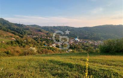 Bursa Orhangazi Mahmudiye mah. DARIPINARI mevkiinde SATILIK...