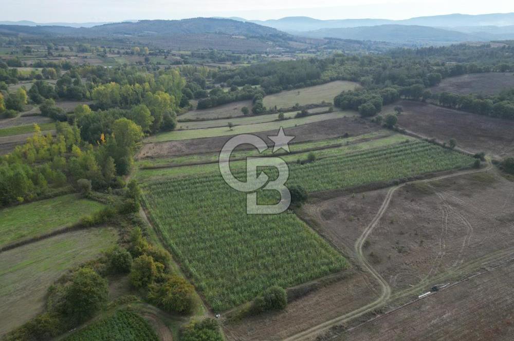 Çanakkale Yenice Hamdibey Köyünde 3.524 M² Satılık Tarla !