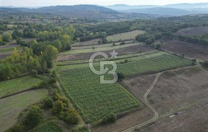 Çanakkale Yenice Hamdibey Köyünde 3.524 M² Satılık Tarla !