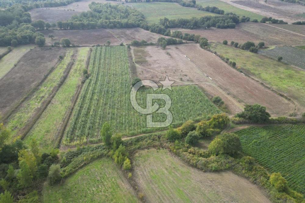 Çanakkale Yenice Hamdibey Köyünde 3.524 M² Satılık Tarla !
