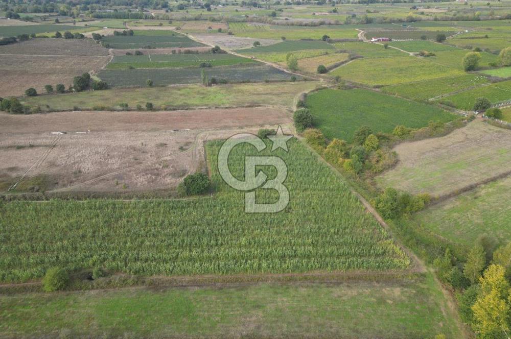 Çanakkale Yenice Hamdibey Köyünde 3.524 M² Satılık Tarla !