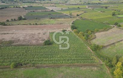Çanakkale Yenice Hamdibey Köyünde 3.524 M² Satılık Tarla !