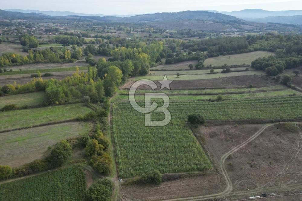 Çanakkale Yenice Hamdibey Köyünde 3.524 M² Satılık Tarla !