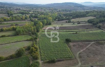 Çanakkale Yenice Hamdibey Köyünde 3.524 M² Satılık Tarla !
