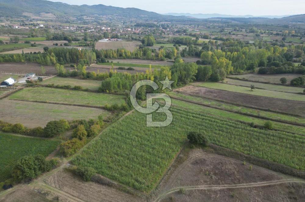 Çanakkale Yenice Hamdibey Köyünde 3.524 M² Satılık Tarla !