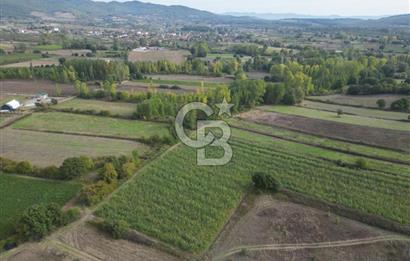 Çanakkale Yenice Hamdibey Köyünde 3.524 M² Satılık Tarla !