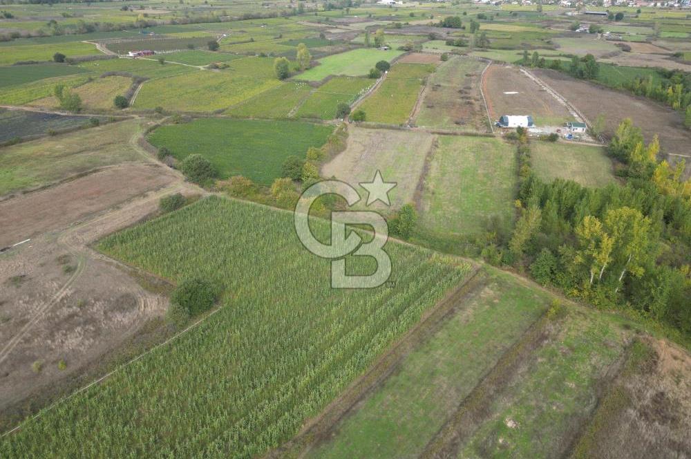 Çanakkale Yenice Hamdibey Köyünde 3.524 M² Satılık Tarla !