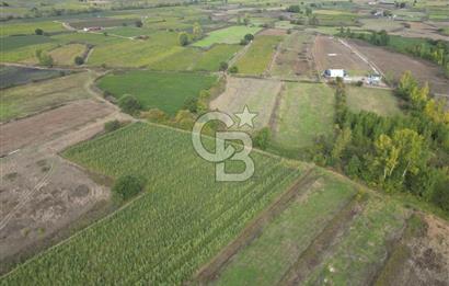 Çanakkale Yenice Hamdibey Köyünde 3.524 M² Satılık Tarla !