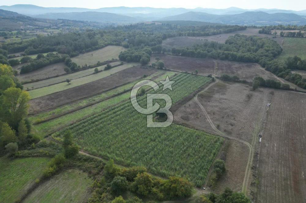 Çanakkale Yenice Hamdibey Köyünde 3.524 M² Satılık Tarla !
