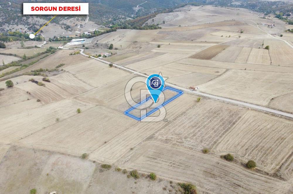 CB ELEGANCE'DEN SORGUN YOLUNDA ASFALT CEPHELİ SATILIK TARLA