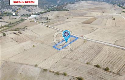 CB ELEGANCE'DEN SORGUN YOLUNDA ASFALT CEPHELİ SATILIK TARLA