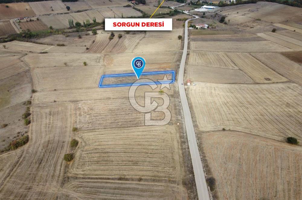 CB ELEGANCE'DEN SORGUN YOLUNDA ASFALT CEPHELİ SATILIK TARLA
