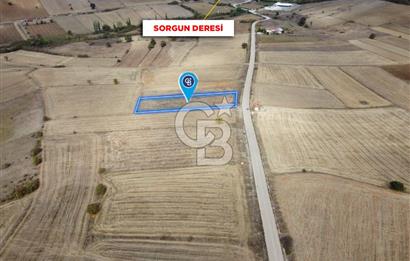 CB ELEGANCE'DEN SORGUN YOLUNDA ASFALT CEPHELİ SATILIK TARLA