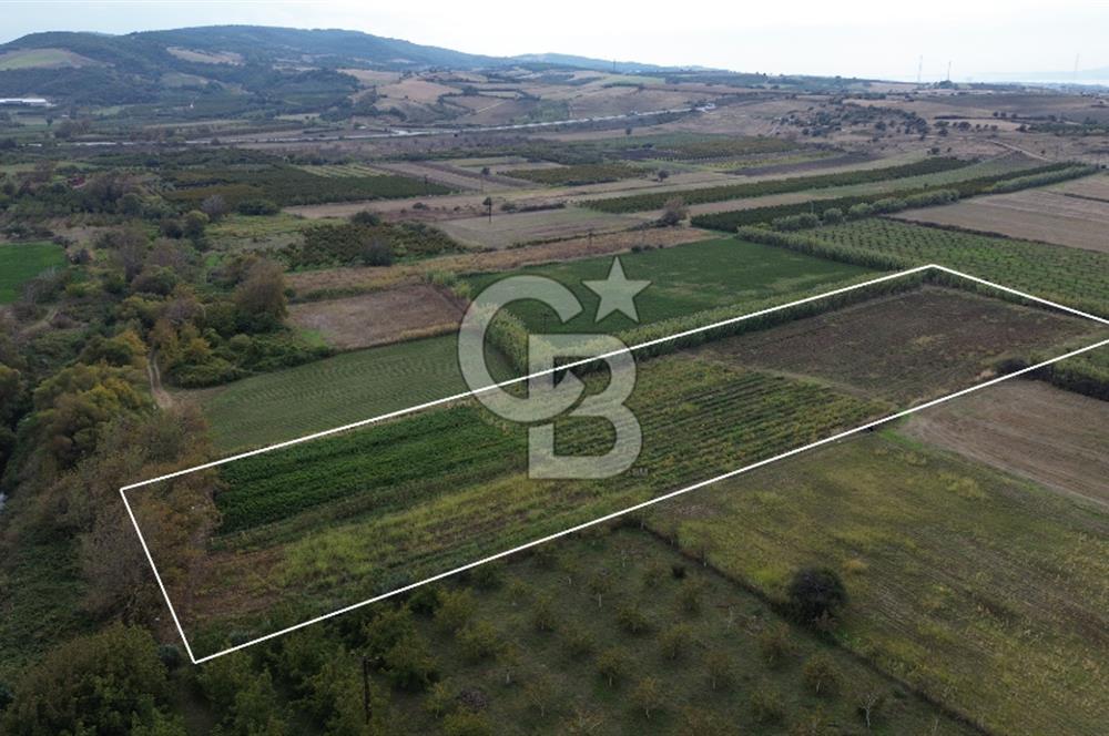 Çanakkale Lapseki Çardak Bayramdere Mevkii'nde Yatırımlık Tarla Satılık!