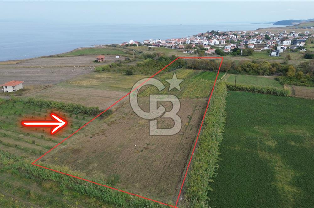 Çanakkale Lapseki Çardak Bayramdere Mevkii'nde Yatırımlık Tarla Satılık!