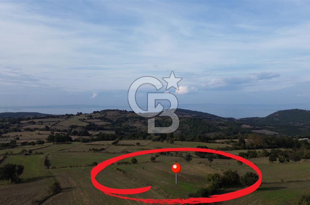 SATILIK TARLA – ÇANAKKALE LAPSEKİ GÜRECİ KÖYÜ 