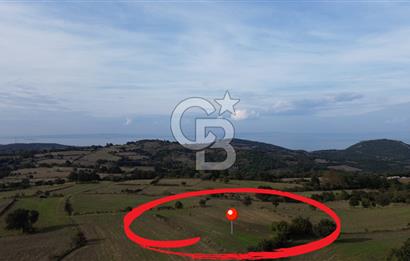 SATILIK TARLA – ÇANAKKALE LAPSEKİ GÜRECİ KÖYÜ 