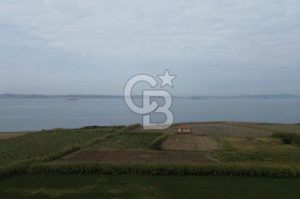 Çanakkale Lapseki Çardak Bayramdere Mevkii'nde Yatırımlık Tarla Satılık!