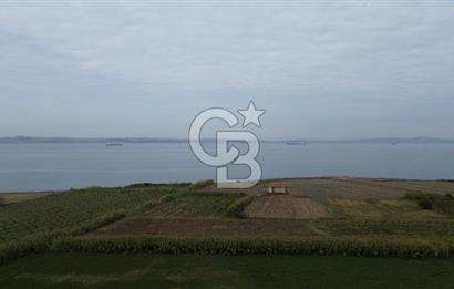 Çanakkale Lapseki Çardak Bayramdere Mevkii'nde Yatırımlık Tarla Satılık!