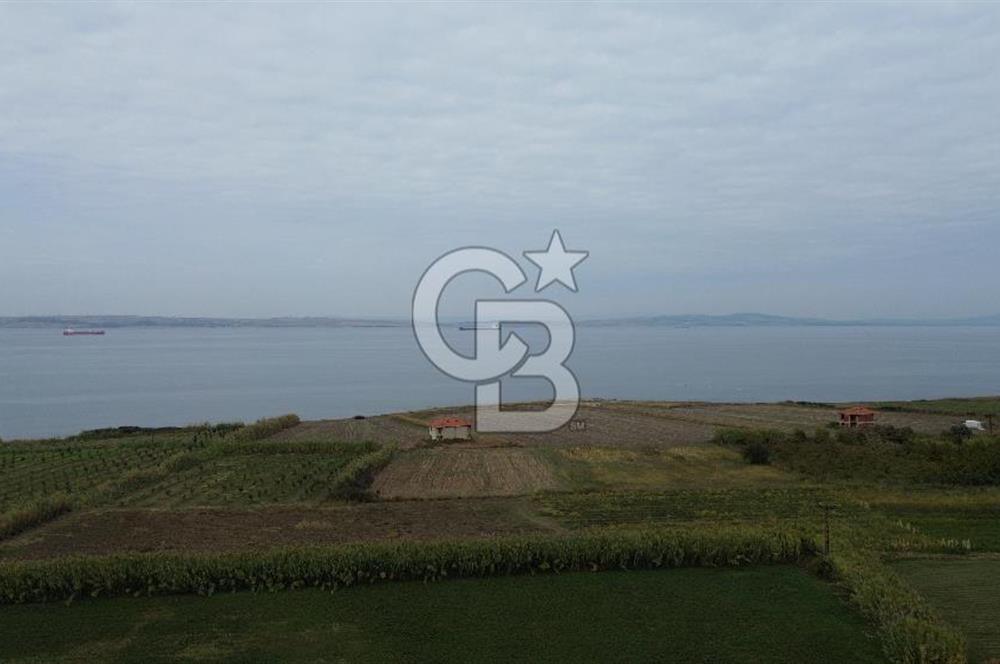 Çanakkale Lapseki Çardak Bayramdere Mevkii'nde Yatırımlık Tarla Satılık!