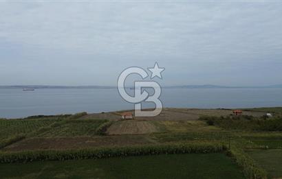 Çanakkale Lapseki Çardak Bayramdere Mevkii'nde Yatırımlık Tarla Satılık!