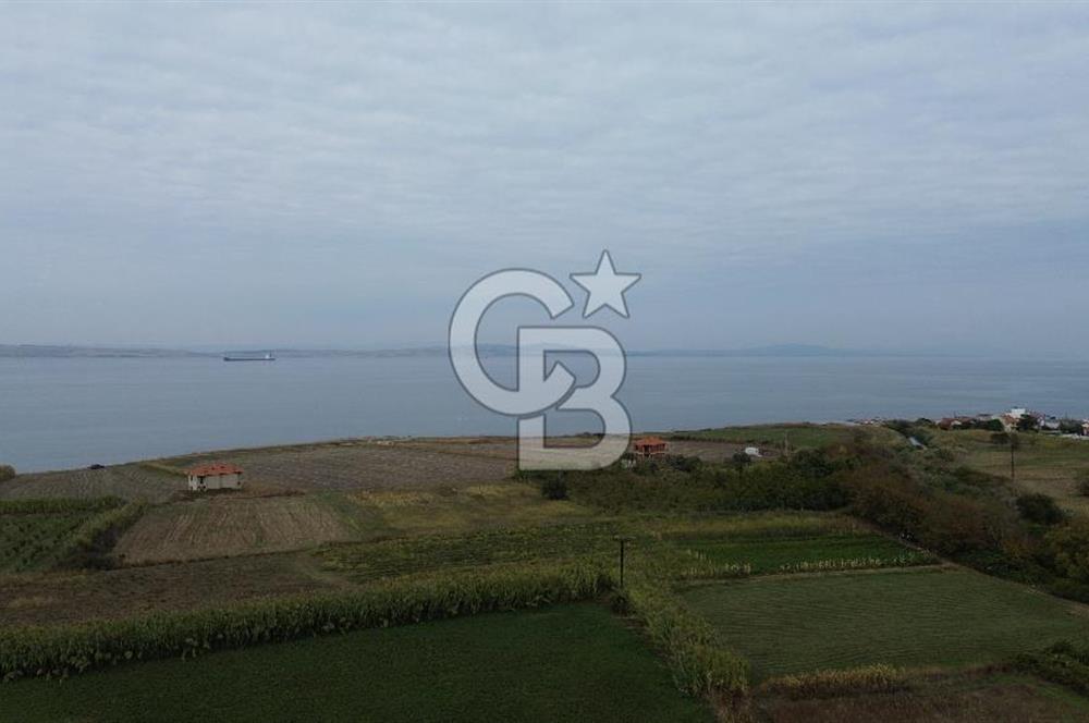 Çanakkale Lapseki Çardak Bayramdere Mevkii'nde Yatırımlık Tarla Satılık!