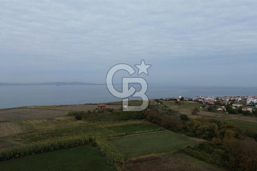 Çanakkale Lapseki Çardak Bayramdere Mevkii'nde Yatırımlık Tarla Satılık!