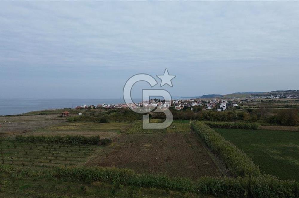 Çanakkale Lapseki Çardak Bayramdere Mevkii'nde Yatırımlık Tarla Satılık!