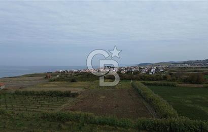 Çanakkale Lapseki Çardak Bayramdere Mevkii'nde Yatırımlık Tarla Satılık!