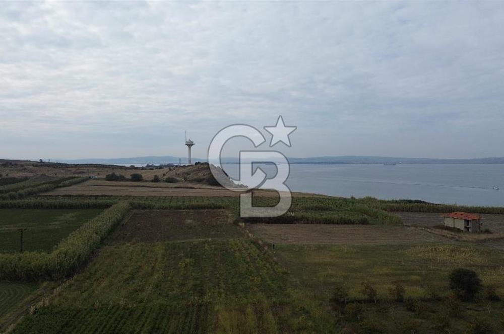 Çanakkale Lapseki Çardak Bayramdere Mevkii'nde Yatırımlık Tarla Satılık!