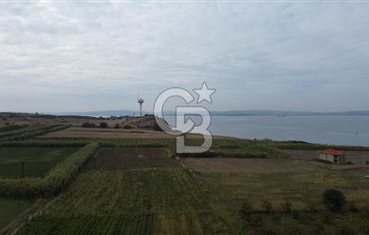 Çanakkale Lapseki Çardak Bayramdere Mevkii'nde Yatırımlık Tarla Satılık!