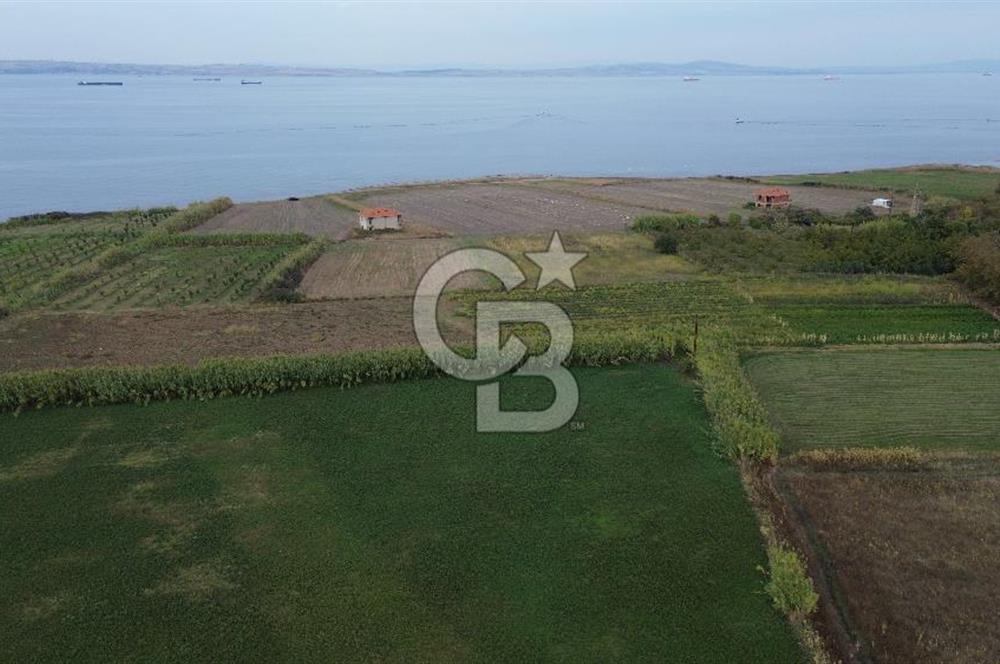 Çanakkale Lapseki Çardak Bayramdere Mevkii'nde Yatırımlık Tarla Satılık!