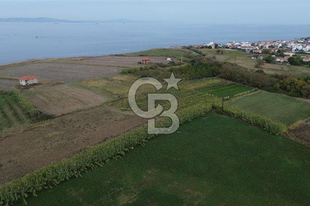 Çanakkale Lapseki Çardak Bayramdere Mevkii'nde Yatırımlık Tarla Satılık!