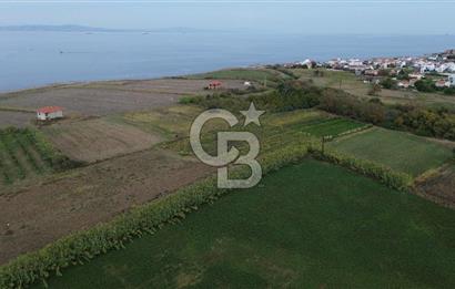 Çanakkale Lapseki Çardak Bayramdere Mevkii'nde Yatırımlık Tarla Satılık!