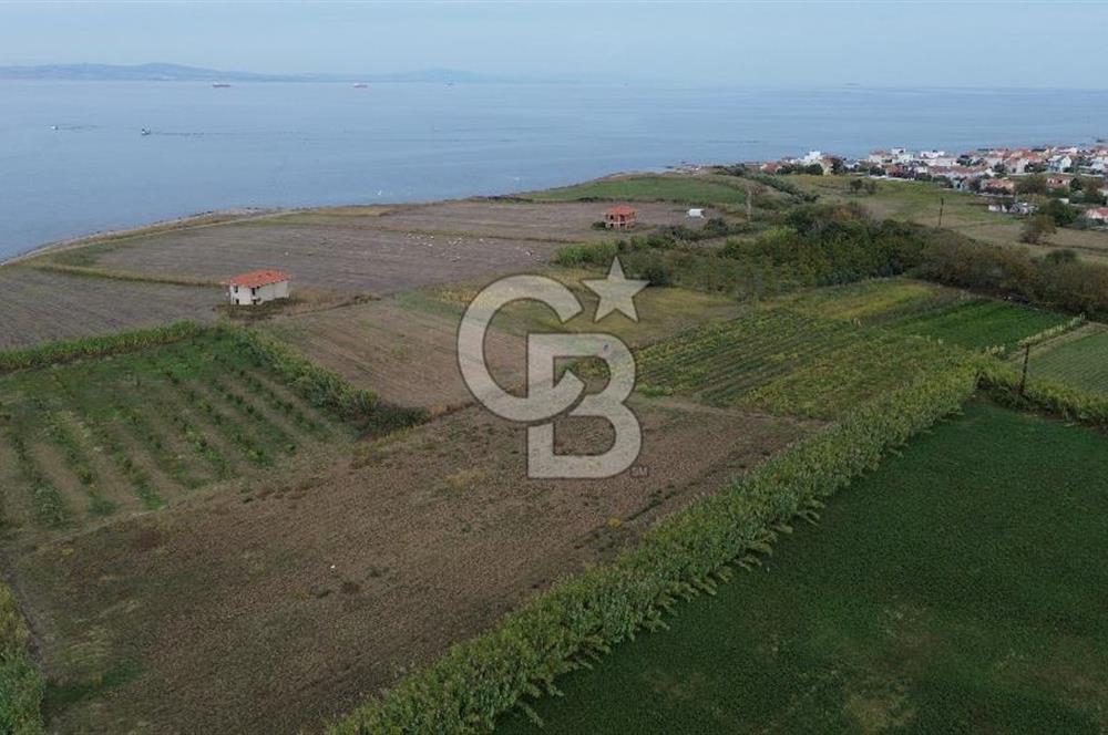 Çanakkale Lapseki Çardak Bayramdere Mevkii'nde Yatırımlık Tarla Satılık!