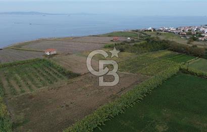 Çanakkale Lapseki Çardak Bayramdere Mevkii'nde Yatırımlık Tarla Satılık!