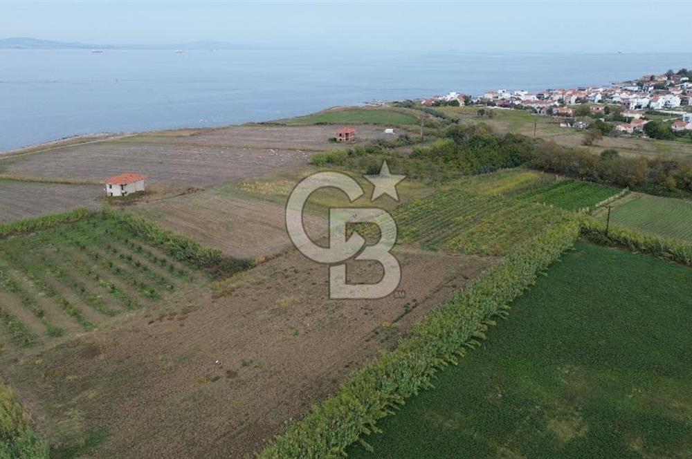 Çanakkale Lapseki Çardak Bayramdere Mevkii'nde Yatırımlık Tarla Satılık!